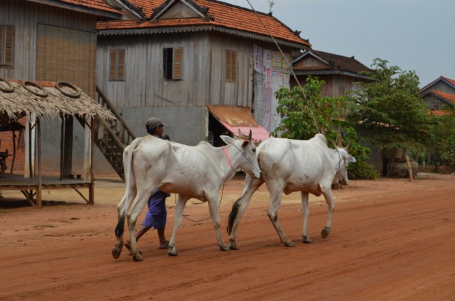 13310882063_7423646a3d_b (1)