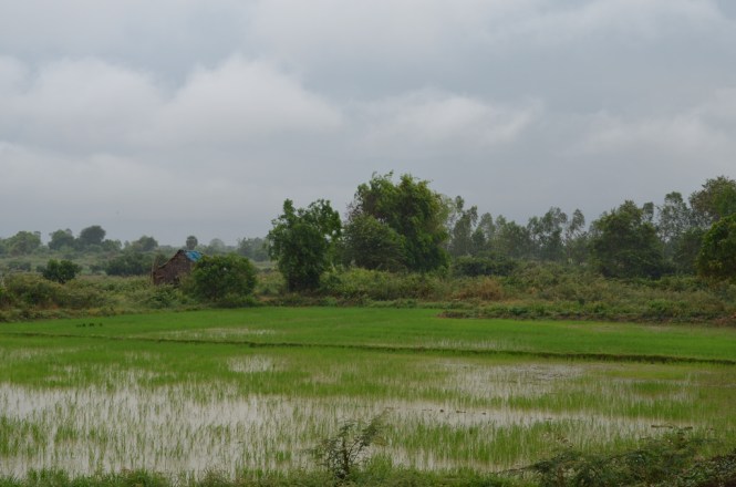 13311136164_03a91364fb_b