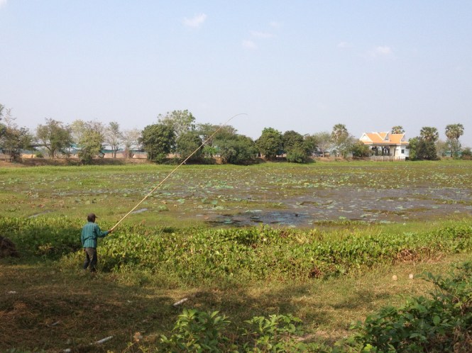 13355152664_0f3a71f75f_b