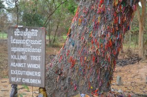 13310755845_038146b4d2_o