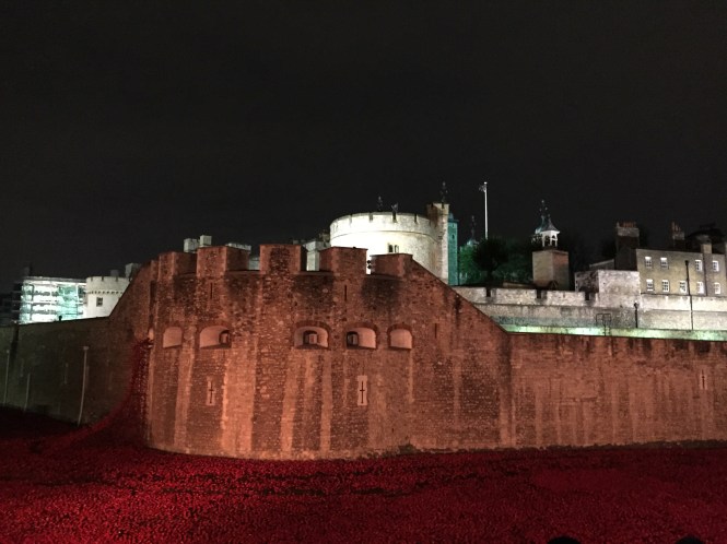 20141106_181203780_iOS