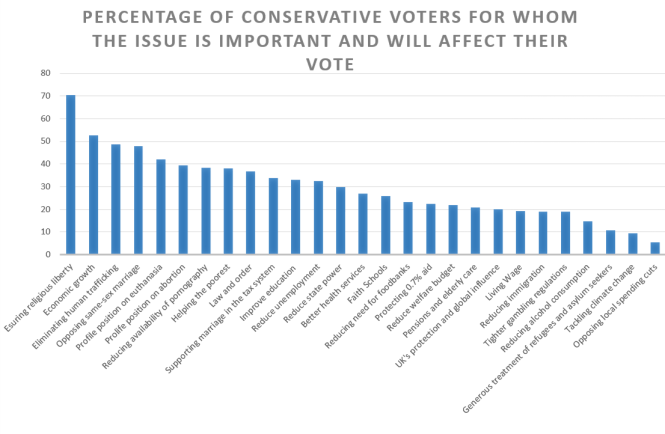 Conservative issue importance
