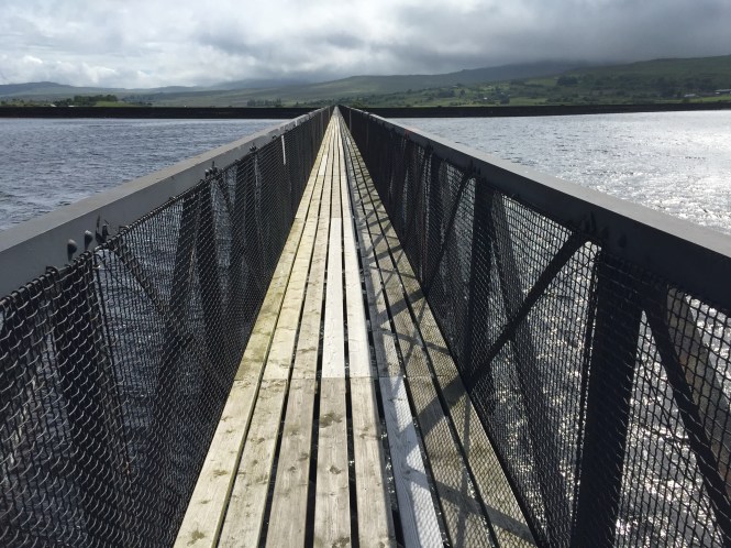 20150626_145049732_iOS